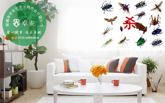居家杀虫除虫六种简单方法－深圳卓安有害生物防治公司